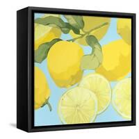 Fresh Lemons-Martha Negley-Framed Stretched Canvas