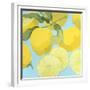 Fresh Lemons-Martha Negley-Framed Giclee Print