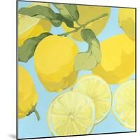 Fresh Lemons-Martha Negley-Mounted Giclee Print