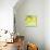 Fresh Lemons-Martha Negley-Premium Giclee Print displayed on a wall