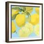 Fresh Lemons-Martha Negley-Framed Premium Giclee Print