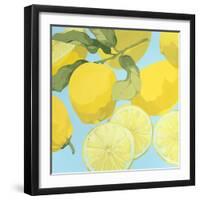 Fresh Lemons-Martha Negley-Framed Premium Giclee Print