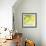 Fresh Lemons-Martha Negley-Framed Premium Giclee Print displayed on a wall