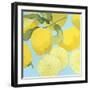 Fresh Lemons-Martha Negley-Framed Premium Giclee Print