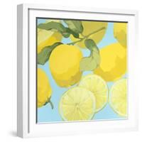 Fresh Lemons-Martha Negley-Framed Premium Giclee Print