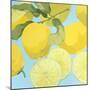 Fresh Lemons-Martha Negley-Mounted Premium Giclee Print