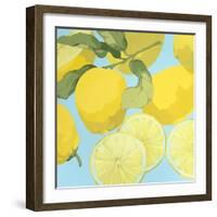 Fresh Lemons-Martha Negley-Framed Giclee Print