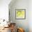 Fresh Lemons-Martha Negley-Framed Giclee Print displayed on a wall