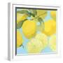 Fresh Lemons-Martha Negley-Framed Giclee Print