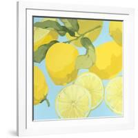 Fresh Lemons-Martha Negley-Framed Giclee Print