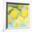 Fresh Lemons-Martha Negley-Framed Giclee Print