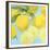 Fresh Lemons-Martha Negley-Framed Giclee Print