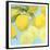 Fresh Lemons-Martha Negley-Framed Giclee Print