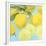 Fresh Lemons-Martha Negley-Framed Giclee Print