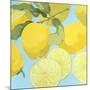 Fresh Lemons-Martha Negley-Mounted Giclee Print