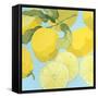 Fresh Lemons-Martha Negley-Framed Stretched Canvas