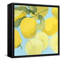 Fresh Lemons-Martha Negley-Framed Stretched Canvas