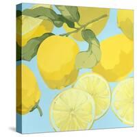 Fresh Lemons-Martha Negley-Stretched Canvas