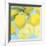 Fresh Lemons-Martha Negley-Framed Giclee Print