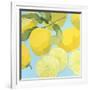 Fresh Lemons-Martha Negley-Framed Giclee Print