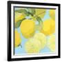 Fresh Lemons-Martha Negley-Framed Giclee Print