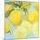 Fresh Lemons-Martha Negley-Mounted Giclee Print