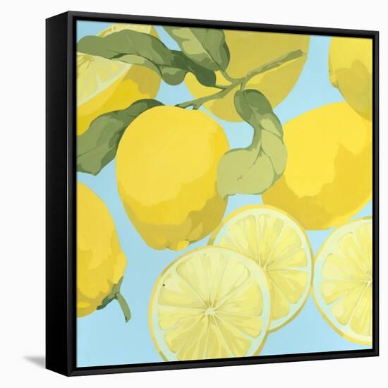 Fresh Lemons-Martha Negley-Framed Stretched Canvas