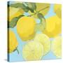 Fresh Lemons-Martha Negley-Stretched Canvas