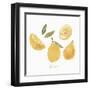 Fresh Lemons-Isabelle Z-Framed Art Print