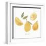 Fresh Lemons-Isabelle Z-Framed Art Print