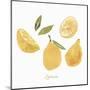 Fresh Lemons-Isabelle Z-Mounted Art Print