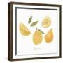 Fresh Lemons-Isabelle Z-Framed Art Print