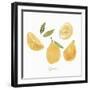 Fresh Lemons-Isabelle Z-Framed Art Print