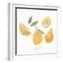 Fresh Lemons-Isabelle Z-Framed Art Print