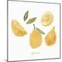 Fresh Lemons-Isabelle Z-Mounted Art Print