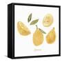 Fresh Lemons-Isabelle Z-Framed Stretched Canvas