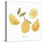 Fresh Lemons-Isabelle Z-Stretched Canvas