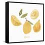 Fresh Lemons-Isabelle Z-Framed Stretched Canvas