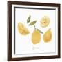 Fresh Lemons-Isabelle Z-Framed Art Print