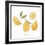 Fresh Lemons-Isabelle Z-Framed Art Print