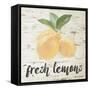 Fresh Lemons-Lanie Loreth-Framed Stretched Canvas