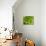 Fresh Lettuce-Greg Elms-Mounted Photographic Print displayed on a wall