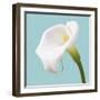 Fresh Lily I-Adam Brock-Framed Giclee Print