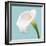 Fresh Lily I-Adam Brock-Framed Giclee Print