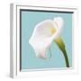 Fresh Lily I-Adam Brock-Framed Giclee Print