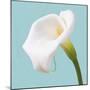 Fresh Lily I-Adam Brock-Mounted Giclee Print