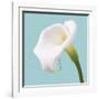 Fresh Lily I-Adam Brock-Framed Giclee Print