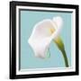 Fresh Lily I-Adam Brock-Framed Giclee Print