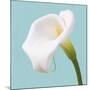 Fresh Lily I-Adam Brock-Mounted Giclee Print