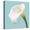 Fresh Lily I-Adam Brock-Stretched Canvas